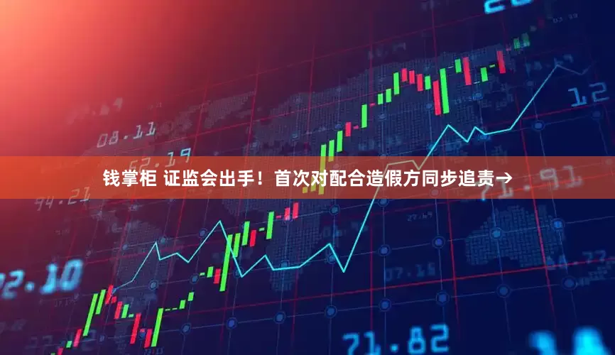 钱掌柜 证监会出手！首次对配合造假方同步追责→