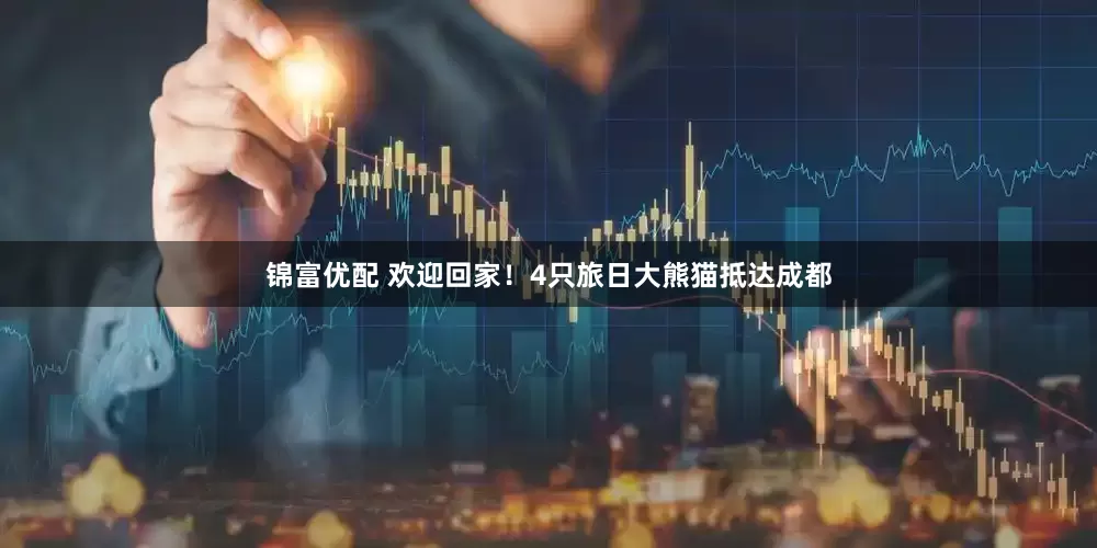 锦富优配 欢迎回家！4只旅日大熊猫抵达成都