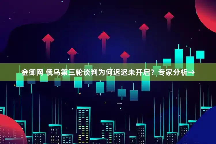 金御网 俄乌第三轮谈判为何迟迟未开启？专家分析→