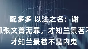 配多多 以法之名：谢鸿飞被抓张文菁无罪，才知兰景茗不是内鬼