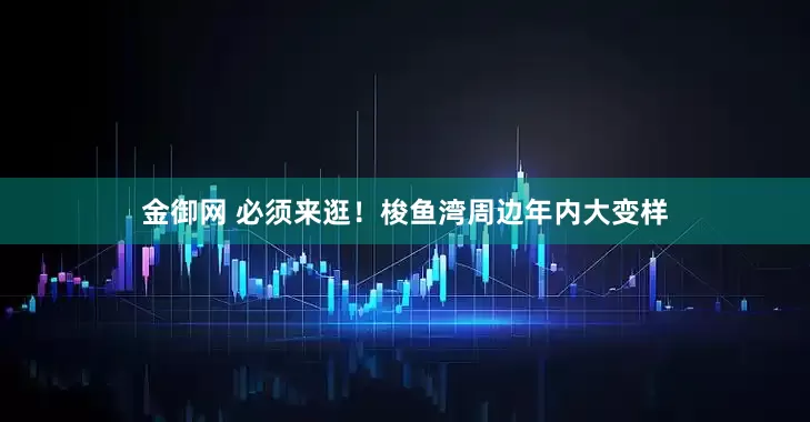 金御网 必须来逛！梭鱼湾周边年内大变样
